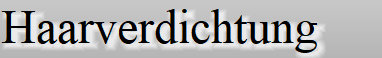 salon-schuster020008.jpg